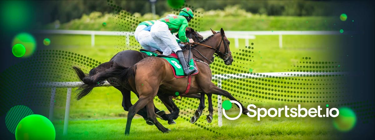 JRA Best Bets Sunday November 27